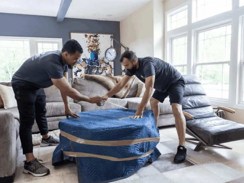 Packing Living Room